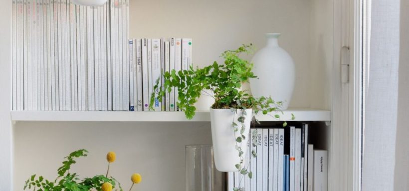 d1e75f48-1fd7-4303-bec6-a43c16e0dc25