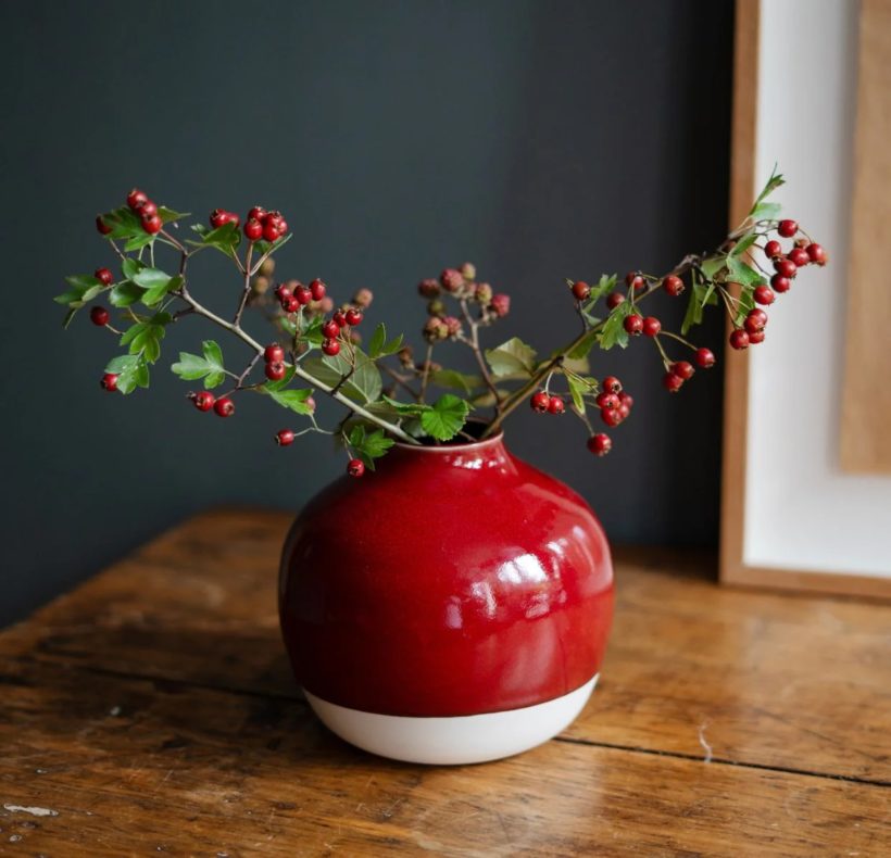 vase-nefle-cerise_2048x2048